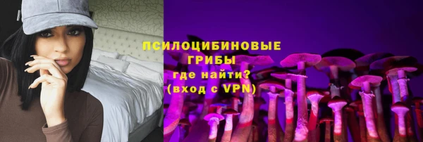 ECSTASY Алзамай