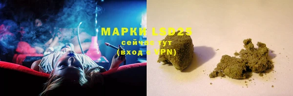 ECSTASY Алзамай