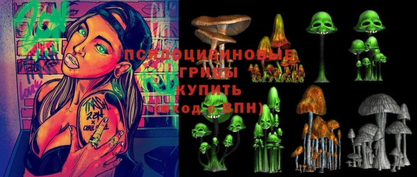 гидропоника Козельск