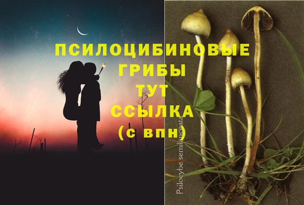 прущие крисы Абдулино
